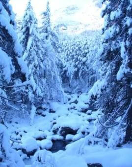 il torrente ayas di inverno